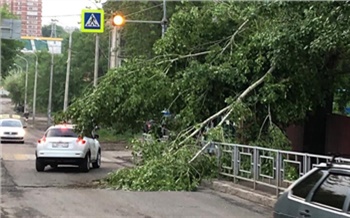 «Повреждены деревья, машины, здания, дорожные знаки, ЛЭП»: в Красноярске оценивают ущерб от неожиданного удара стихии