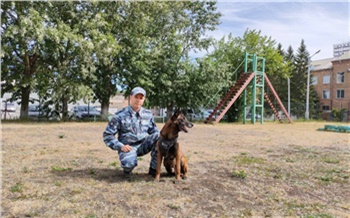 В Ачинске полицейский пес по кличке Зиггер помог найти подозреваемого в преступлении