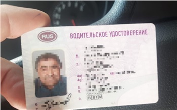 В Красноярском крае автолюбитель купил поддельные права и попался полиции