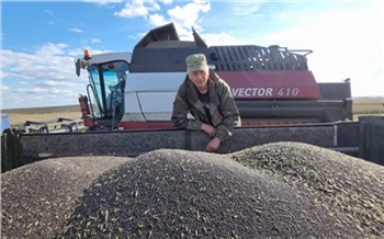 Аграрии Красноярского края получат господдержку на производство масличных культур