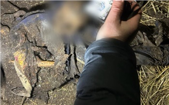 В Заозерном трое мужчин насмерть забили знакомого из-за велосипеда и закопали в сарае