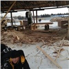 В Красноярском крае проверили еще одну лесопилку с мигрантами