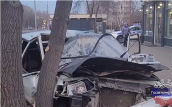 В Красноярске бесправник во время полицейской погони врезался в дерево: пострадали двое подростков