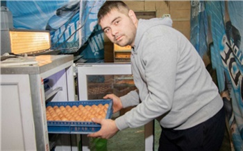 В Красноярском крае несколько многодетных семей открыли свой бизнес с помощью соцконтракта