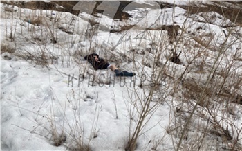 «Не знаю, как она оказалась в кустах»: в Красноярске опознали женщину, тело которой нашли у БСМП