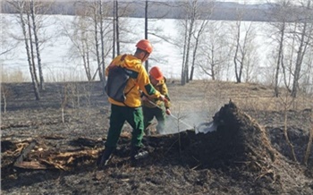 В Красноярском крае потушили первый в году лесной пожар