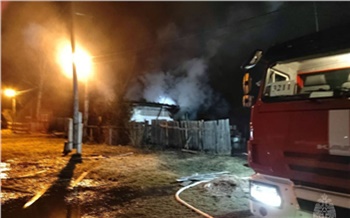 В Красноярском крае от пожара пострадали двое детей