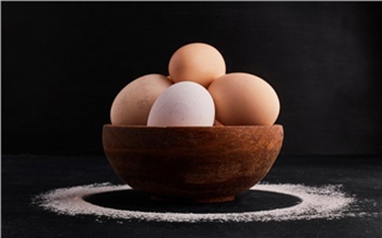Российские производители яиц получили рекордную прибыль на фоне скачка цен
