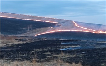 В Минусинском районе огнеборцы три часа тушили пожар в поле