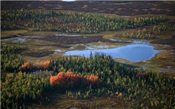 Красноярские ученые создали цифровую карту растительного покрова Таймыра