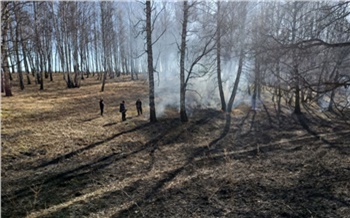 В Рыбинском районе мужчины незаконно рубили деревья и случайно подожгли лес