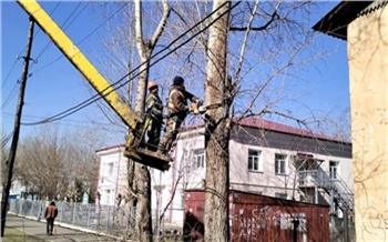В Красноярске за сезон обрезали более 10 тысяч деревьев
