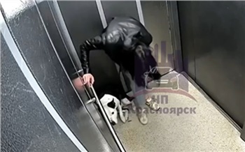 В Красноярске женщина избила собаку в лифте