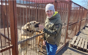 «Помогать легко!»: сотрудники «Ростелекома» передали подарки для собак из красноярского приюта «Алькин Дом»