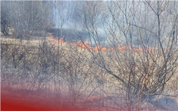В Красноярске вводят противопожарный режим