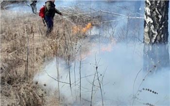 В Красноярском крае загорелась трава на заброшенном поле. Огонь зашел в лес