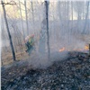 В Шушенском районе сгорело 2,7 га леса в окрестностях села Дубенское