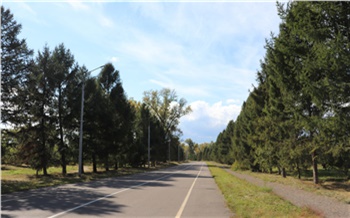 В Красноярске из-за обработки от клещей на сутки закрылись площадки на острове Татышев