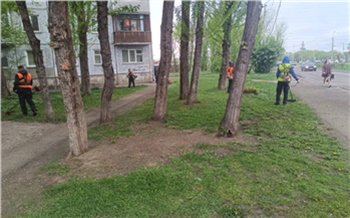 В Красноярске начали косить траву на газонах