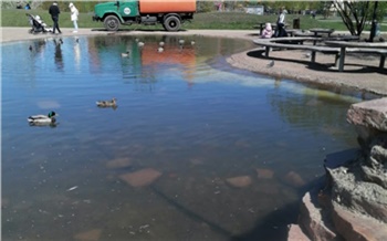 В парке имени 400-летия Красноярска наполнили водой пруд для уток
