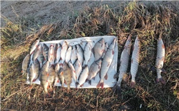В Канском районе вопреки запрету два рыбака наловили на 21 тысячу рублей ущерба
