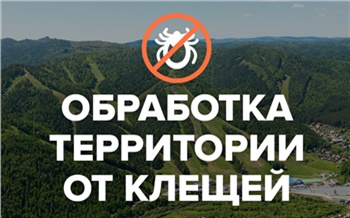 В Красноярске территорию Фанпарка обработают от клещей