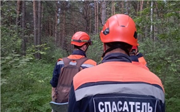 Пропавшего в лесу неделю назад жителя Красноярского края нашли мертвым