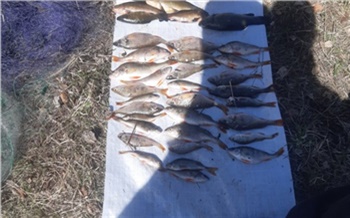 «Ущерб больше 100 тысяч»: в Шарыповском районе двое браконьеров ловили рыбу «телевизором» и сетью