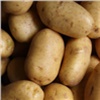 Цены на картофель в России выросли почти на 50 %