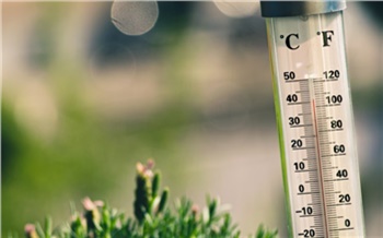 Жару выше +30 °C пообещали красноярские синоптики к концу этой недели