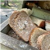 «Экопарк — не помойка»: отдыхающие в «Гремячей гриве» решили покормить птиц хлебом с плесенью