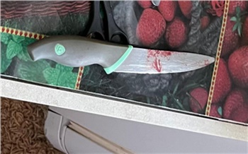 «Действовала по обстановке»: жительница Игарки зарезала угрожавшего ей ножом сожителя
