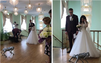 В Норильске робособака принесла молодой паре кольца во время регистрации брака