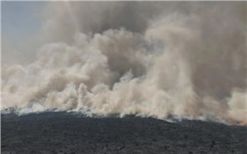 «Жара и ветер осложняли тушение»: в Красноярском крае огнеборцы ликвидировали крупный лесной пожар