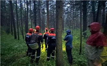 Пожарный пропал после тушения леса в Красноярском крае