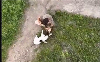 В Красноярском крае мужчина избил собаку кулаками по морде