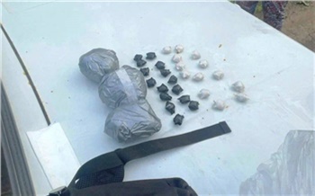 В Красноярске дилер выбросил в кусты сумку с крупной партией наркотиков