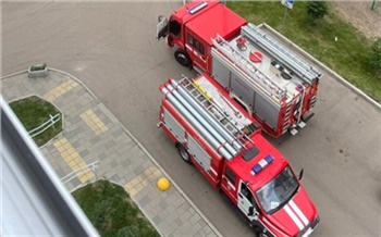 В Красноярске пожарные вытащили двух детей из горящей 17-этажки
