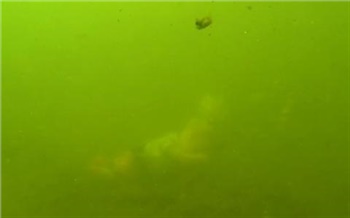 Красноярцам показали, как выглядит утопленник под водой