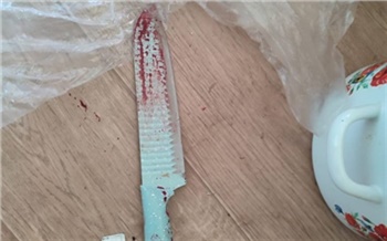 Назаровец убил собутыльника двумя ударами кухонным ножом в грудь