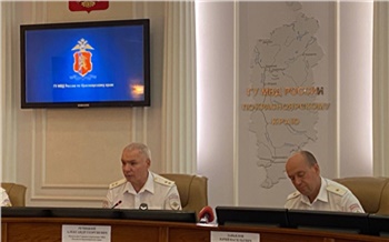 В Красноярском крае киберпреступлений стало больше почти на 40 %