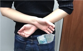 В Красноярском крае экс-работницу ФАПа осудили за присвоение почти 350 тысяч рублей
