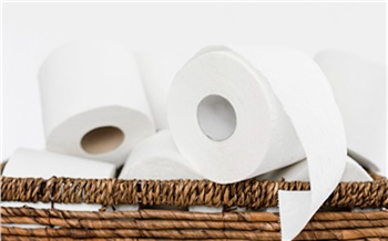 В России разработали первую отечественную смываемую втулку для туалетной бумаги