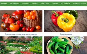 «Уличная девка и квартирант»: красноярский интернет-магазин продавал семена фейковых сортов