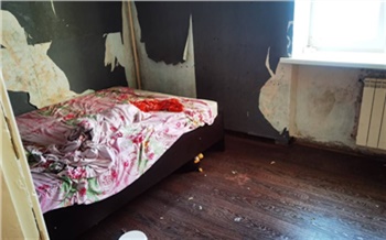 В Красноярске у мамы выпавшего из окна мальчика забрали еще троих детей