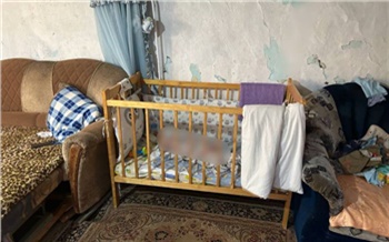 «Сколько было сил ударила головой об диван»: в Красноярском крае мать убила младенца