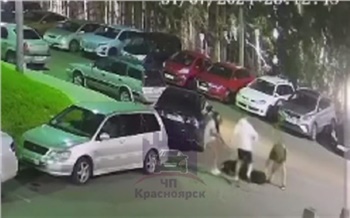 В Красноярске неадекватный мужчина спровоцировал драку на улице Елены Стасовой