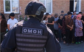 Полиция и ОМОН увезли из теплиц Емельяновского района более 120 мигрантов