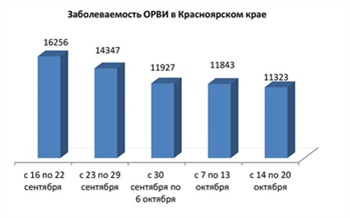 В Красноярском крае продолжает снижаться заболеваемость ОРВИ