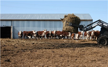 Сельхозкооперативам Красноярского края возместят затраты на приобретение спецтехники и оборудования